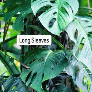 Long sleeve